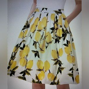 Taydey A-Lined Pleated Vintage Skirt